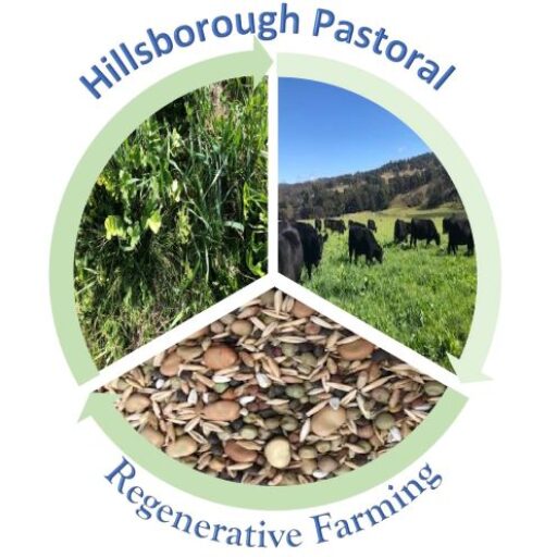Hillsborough Pastoral
